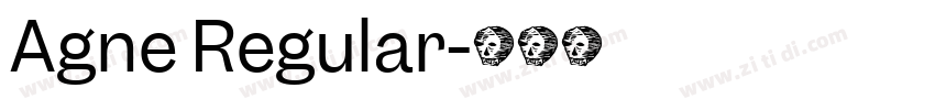 Agne Regular字体转换